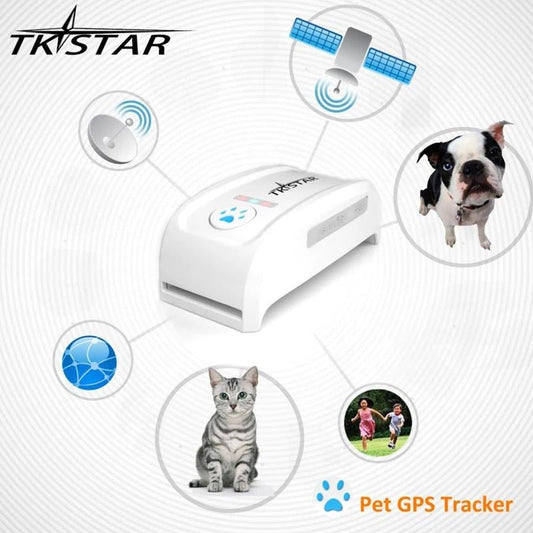 GPS ogrlica za pse i mačke